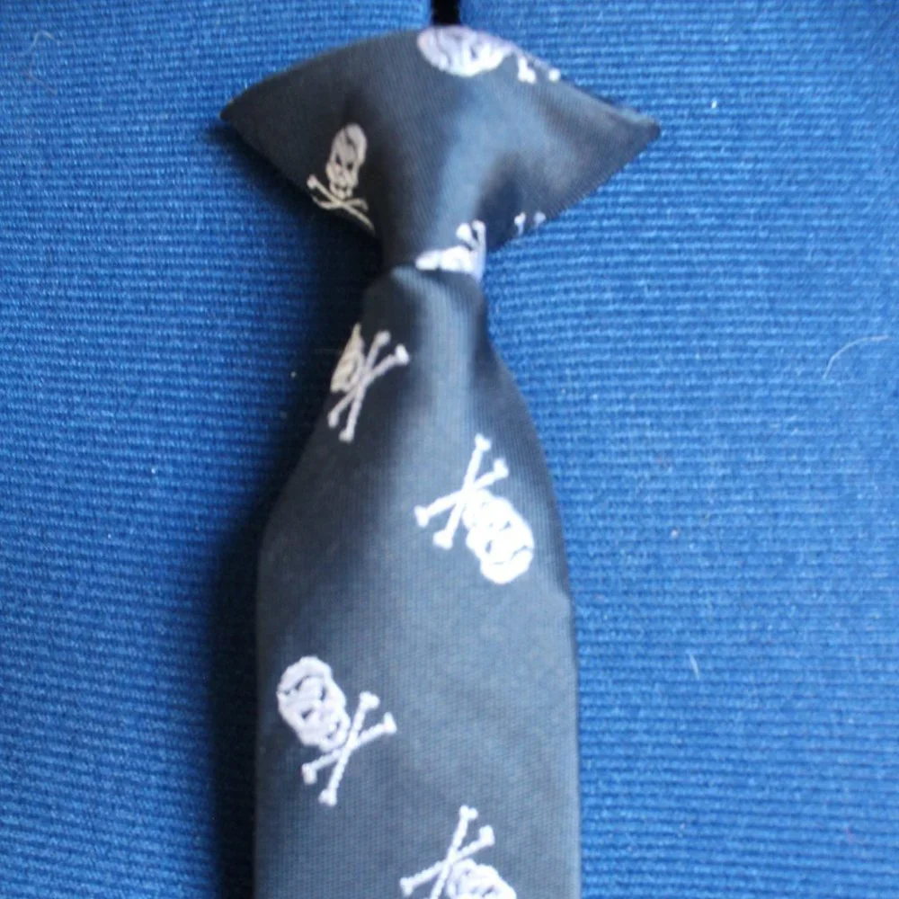 Navy With Silver Skulls Youth Clip-On Necktie